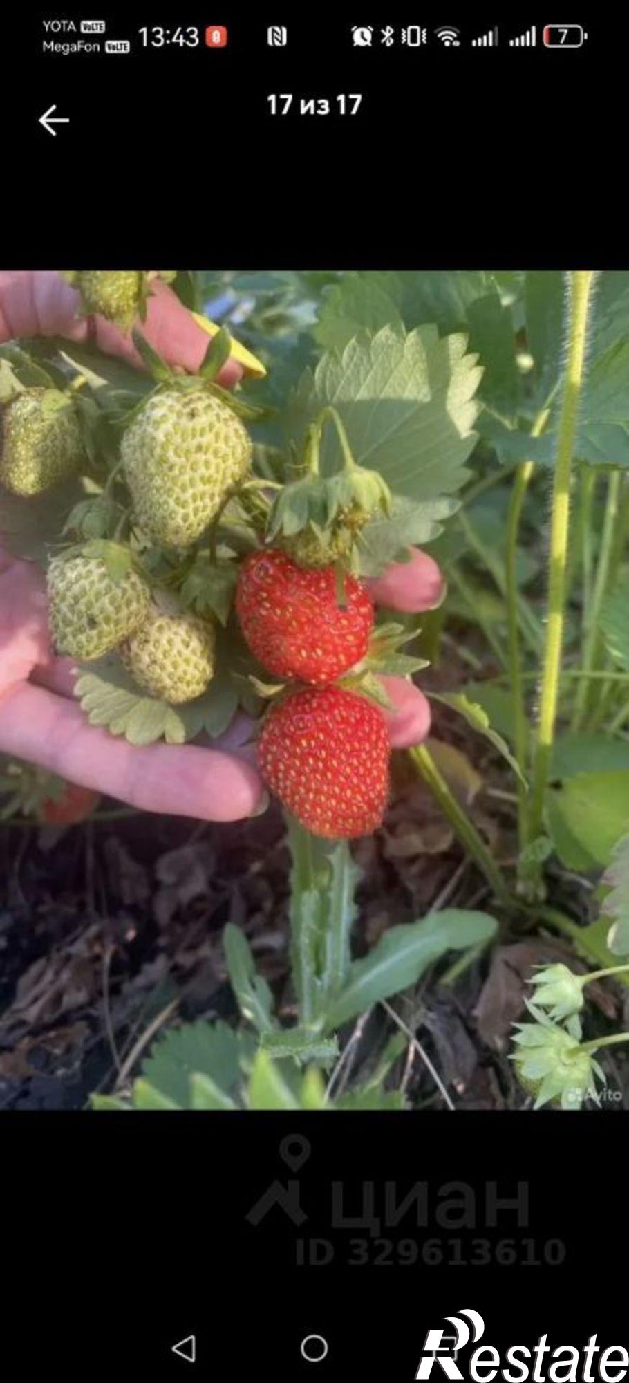 Купить дачу, дом, коттедж за 1 250 000 рублей на ул Парковая, 16