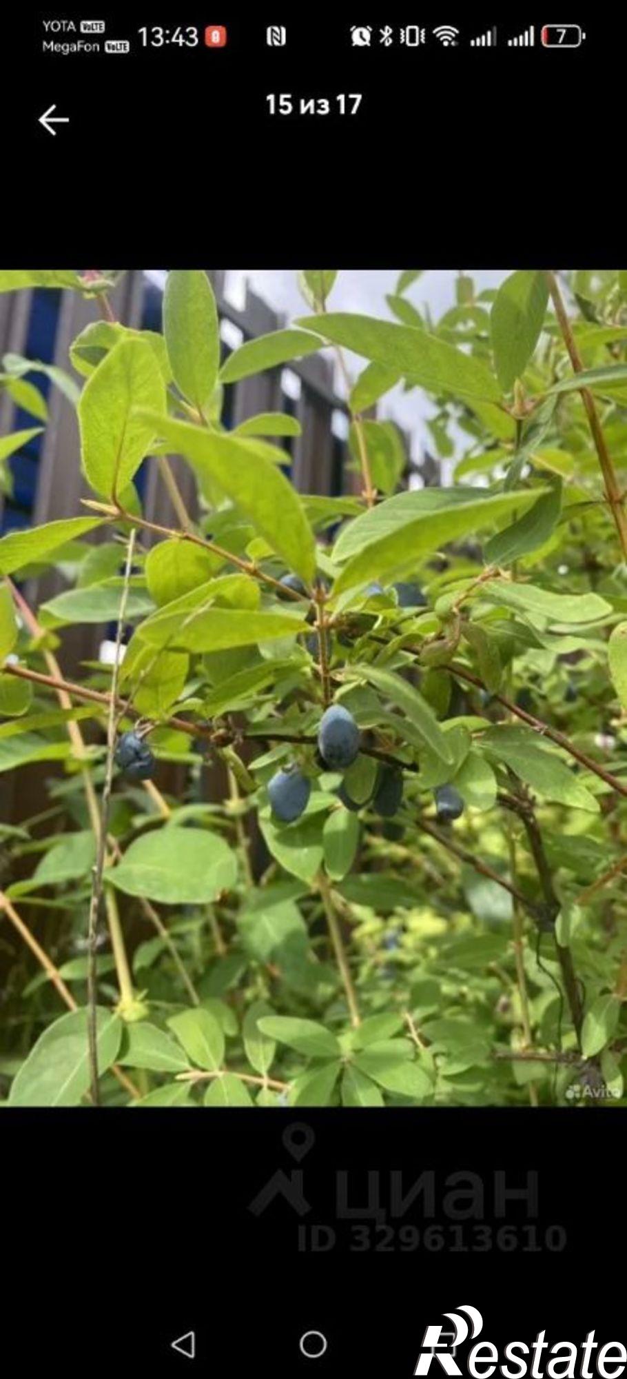 Купить дачу, дом, коттедж за 1 250 000 рублей на ул Парковая, 16
