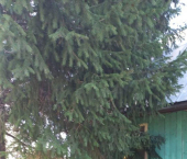 коттедж 32 кв м 