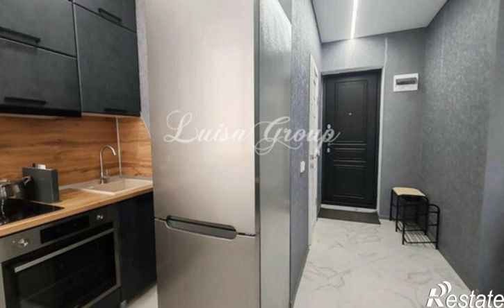 1-комн квартира улица Гафурова, 33А,  д. 33А