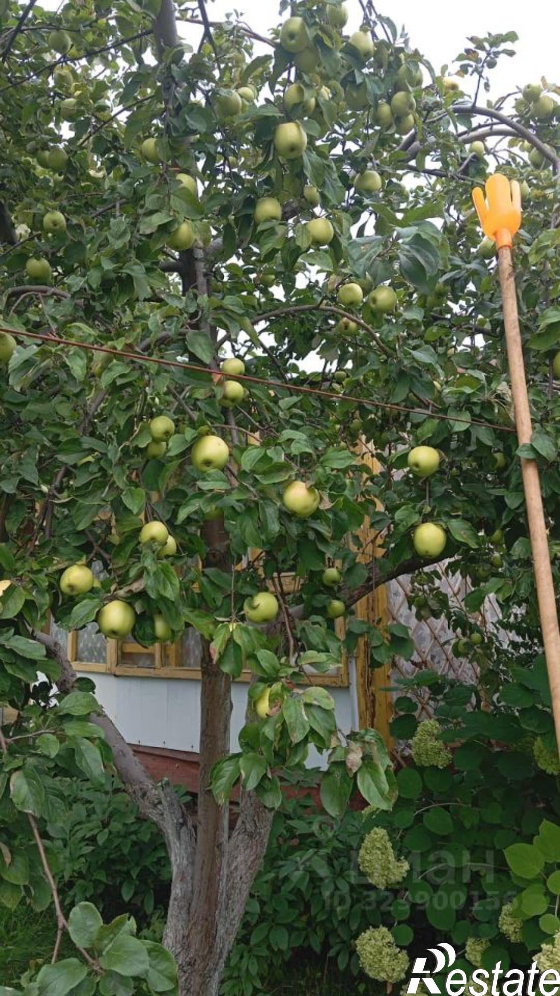 Купить дачу, дом, коттедж за 550 000 рублей на Уфимский район