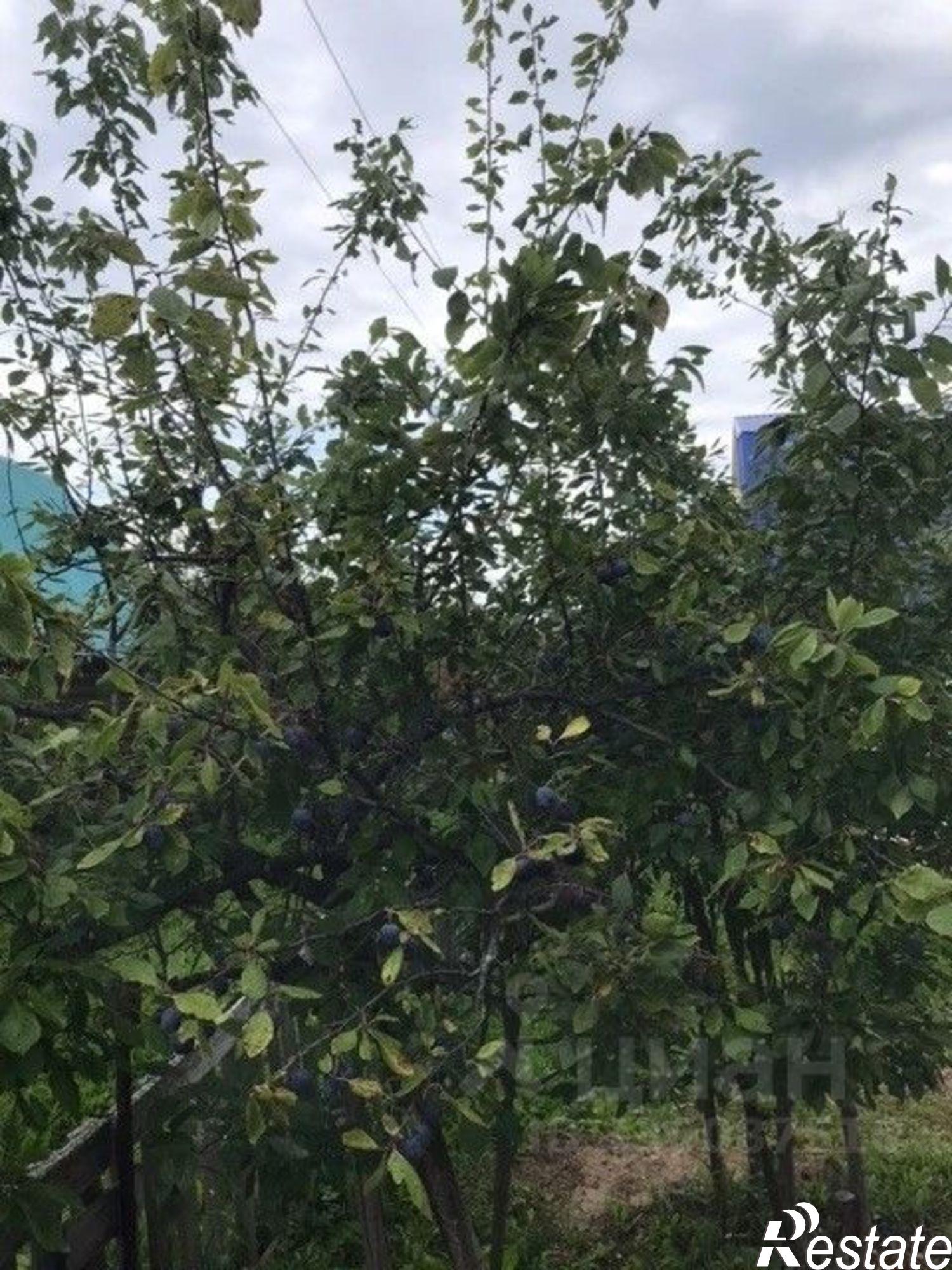 Купить дачу, дом, коттедж за 450 000 рублей на Уфимский район