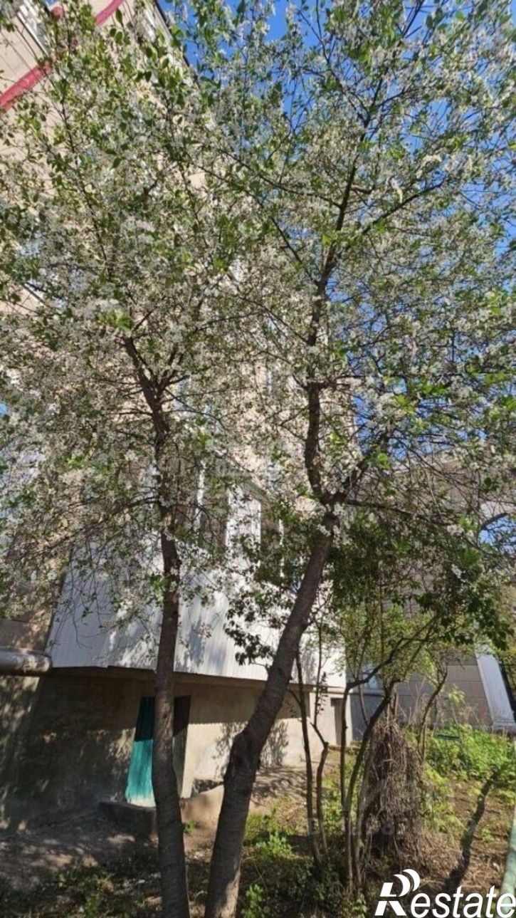 2-комн квартира проспект Ленина, 9,  д. 9