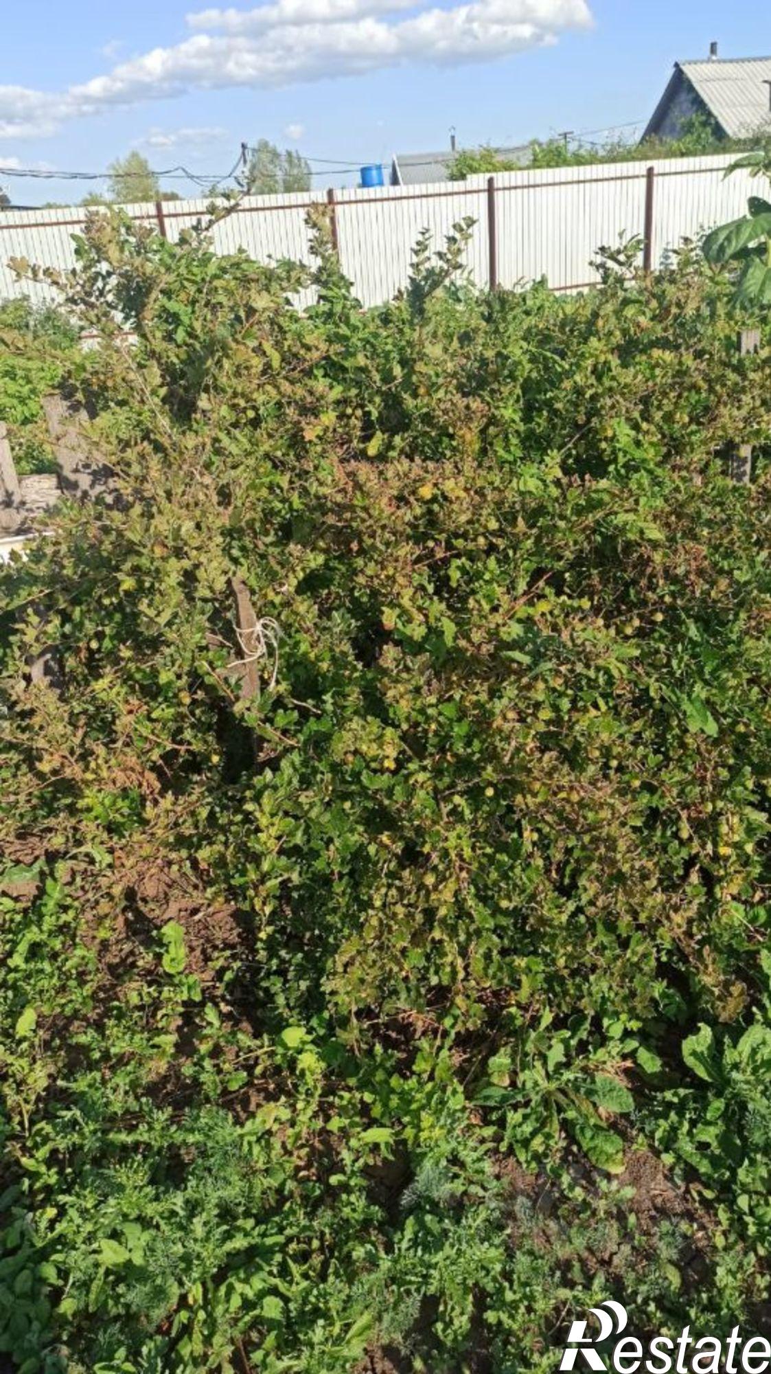 Купить дачу, дом, коттедж за 500 000 рублей на НСТ Агидель