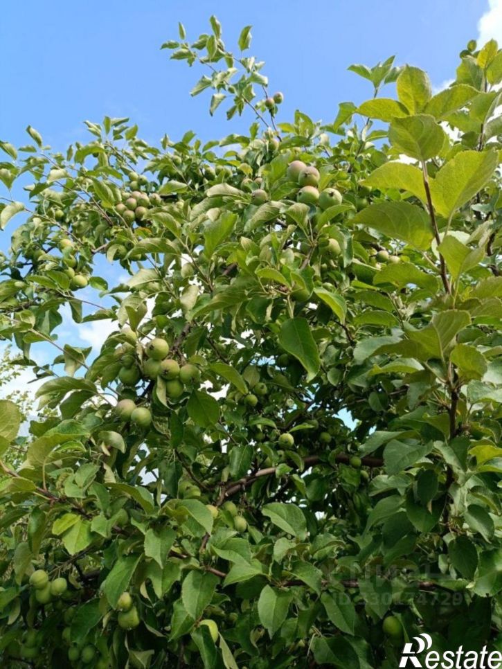 Коттедж/дом Уфимский район