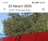 коттедж 30 кв м СО Родник