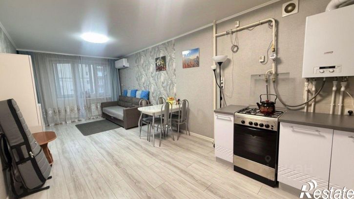 2-комн квартира ул Бориса Перина, 5,  д. 5