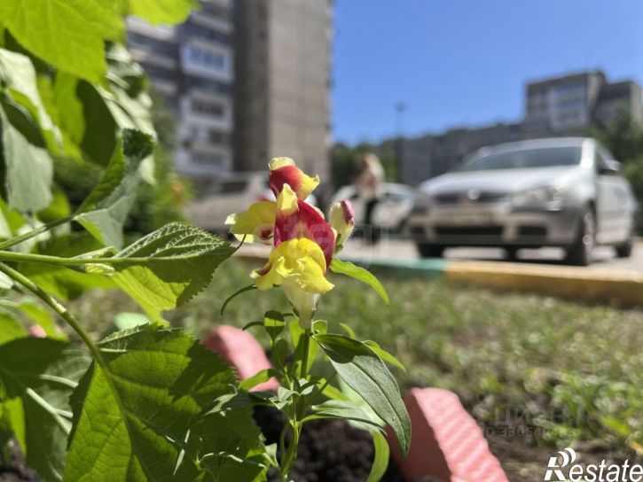 3-комн квартира городской округ Уфа