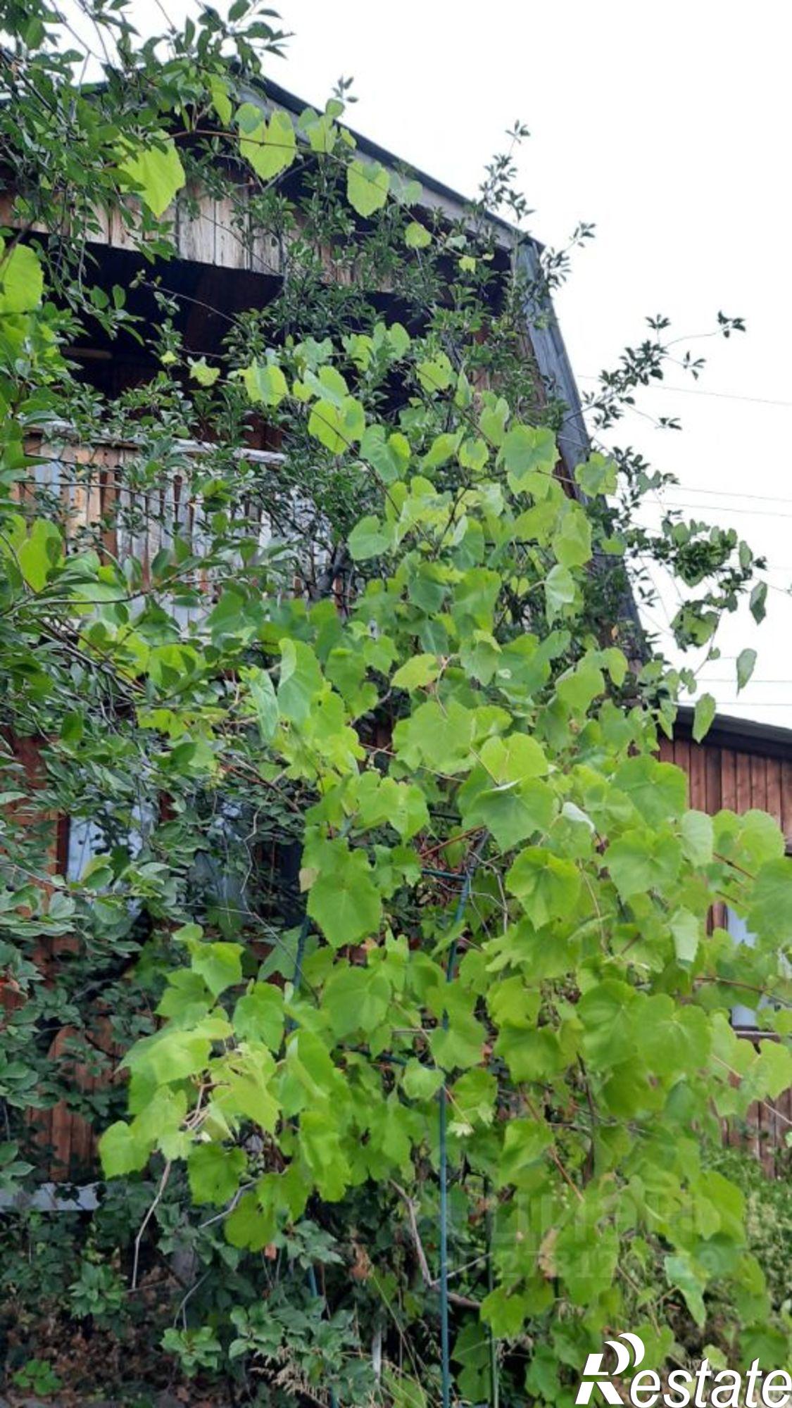 Купить дачу, дом, коттедж за 650 000 рублей на Уфимский район