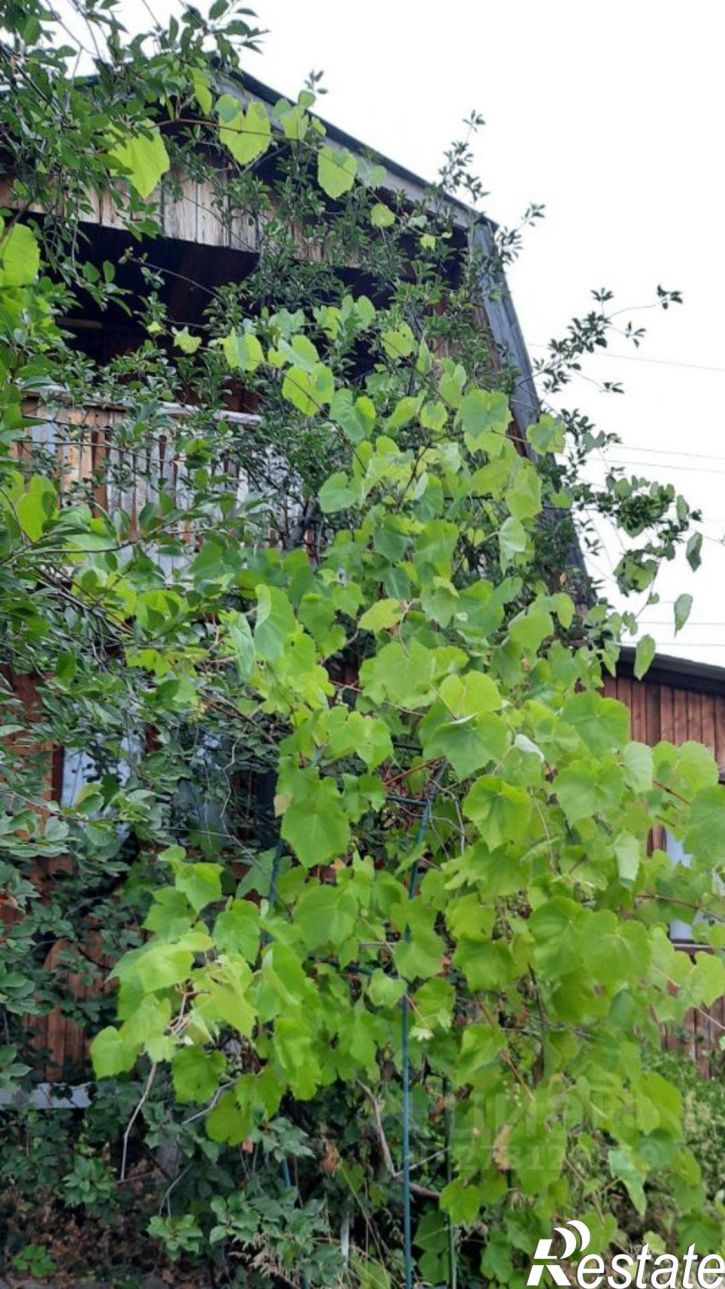 Коттедж/дом Уфимский район