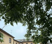 3-комн, 57кв м, этаж 1/2 ул Калинина, 76