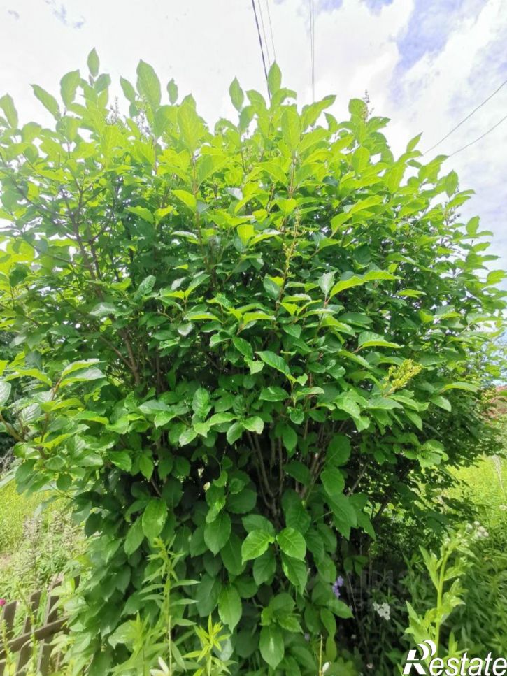 Земельный участок Иглинский район