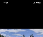 земля 10 сот 