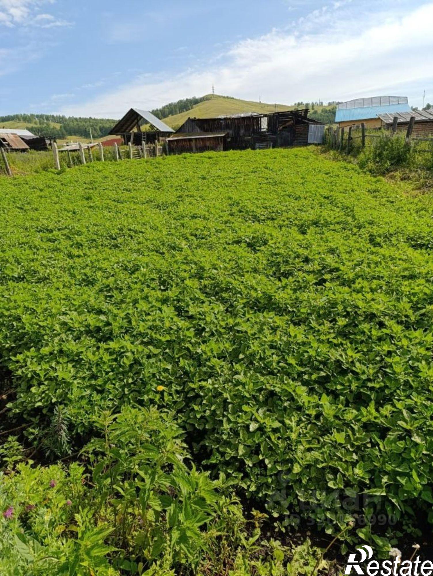 Купить землю, земельный участок за 3 500 000 рублей на Белорецкий район