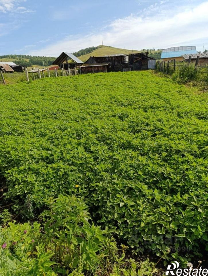 Земельный участок Белорецкий район