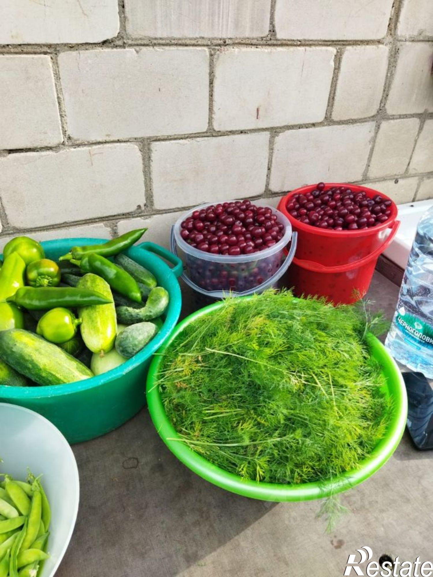 Купить дачу, дом, коттедж за 450 000 рублей