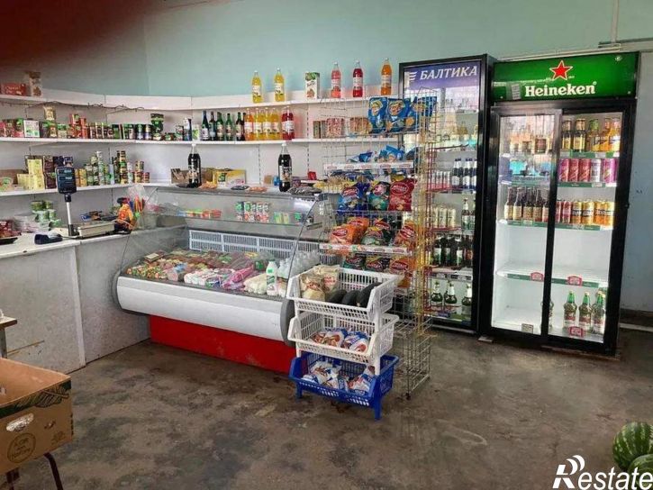 Торговое помещение Центральная улица, д.зд20