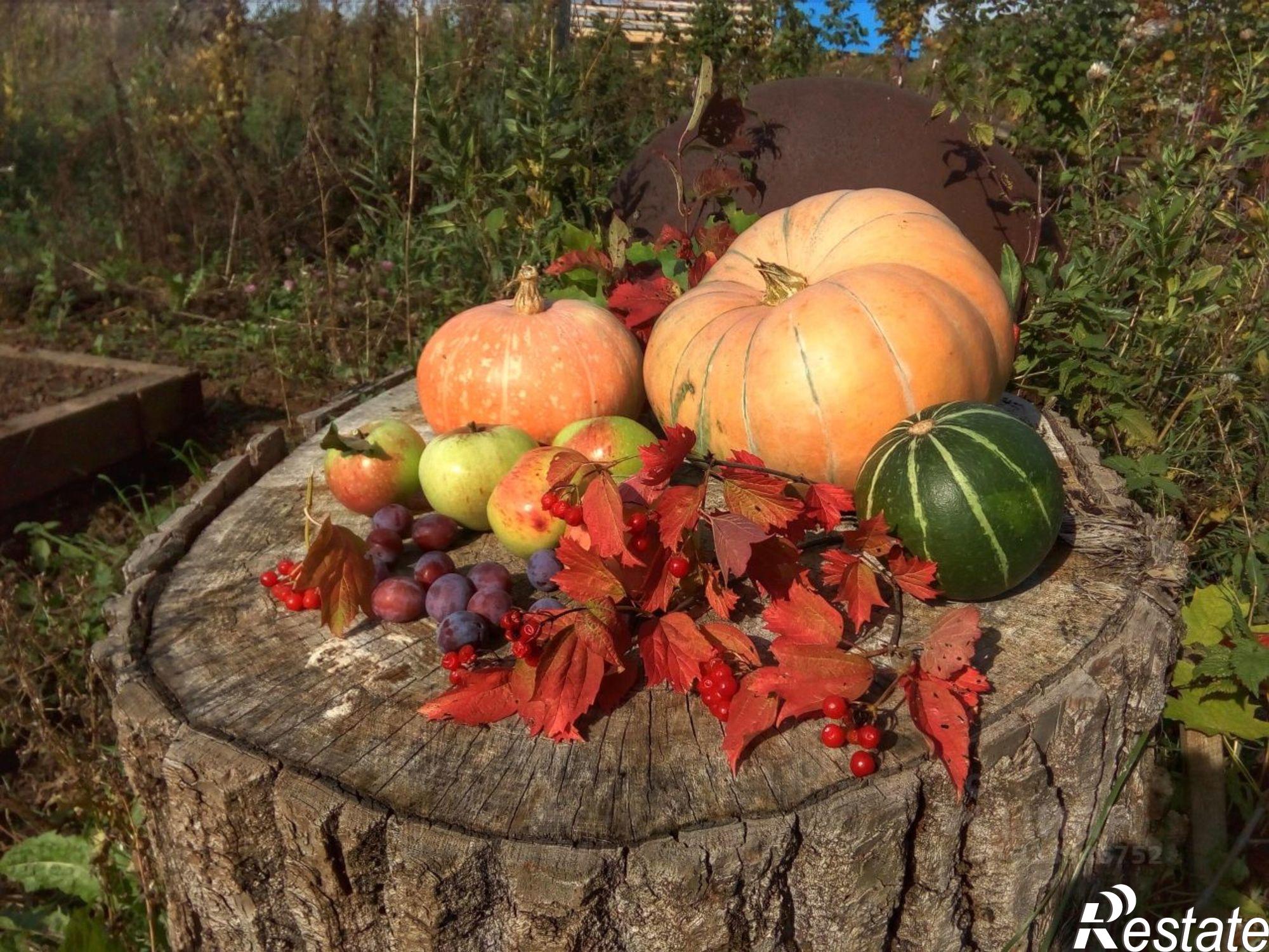 Купить дачу, дом, коттедж за 1 390 000 рублей на Туймазинский район
