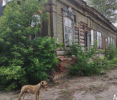 ОСЗ 364 кв м улица Халтурина, 210